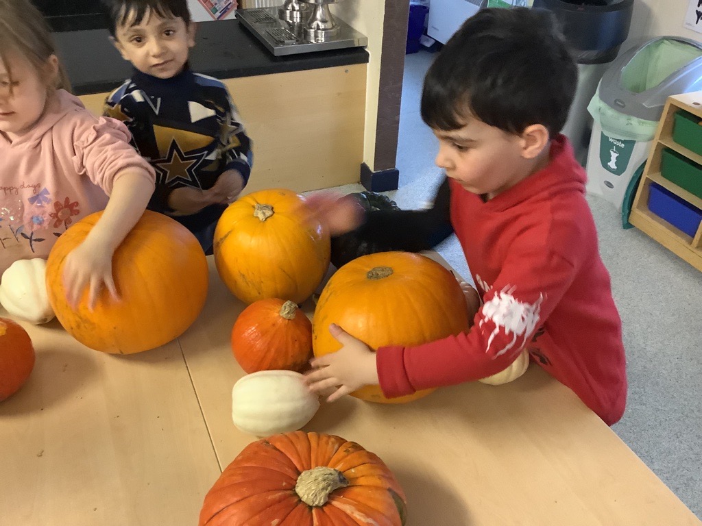 CViewNursery's tweet photo. We used our pumpkins🎃in lots of different ways. At the woodwork bench, as hand drums, to sort by size/colour/weight and we enjoyed washing them to make sure they were clean! 🎃#onlyatcanalview @CanalViewPSEdin @edin_ey https://t.co/lFwBeW8811