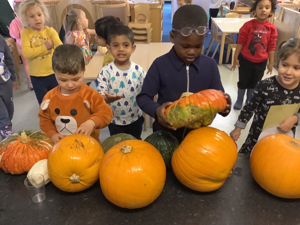 Canal View Nursery (@cviewnursery) on Twitter photo We used our pumpkinsπin lots of different ways. At the woodwork bench, as hand drums, to sort by size/colour/weight and we enjoyed washing them to make sure they were clean! π#onlyatcanalview <a href="/CanalViewPSEdin/">Canal View PS</a> <a href="/edin_ey/">EdinEYTeam</a> We used our pumpkinsπin lots of different ways. At the woodwork bench, as hand drums, to sort by size/colour/weight and we enjoyed washing them to make sure they were clean! π#onlyatcanalview <a href="/CanalViewPSEdin/">Canal View PS</a> <a href="/edin_ey/">EdinEYTeam</a>