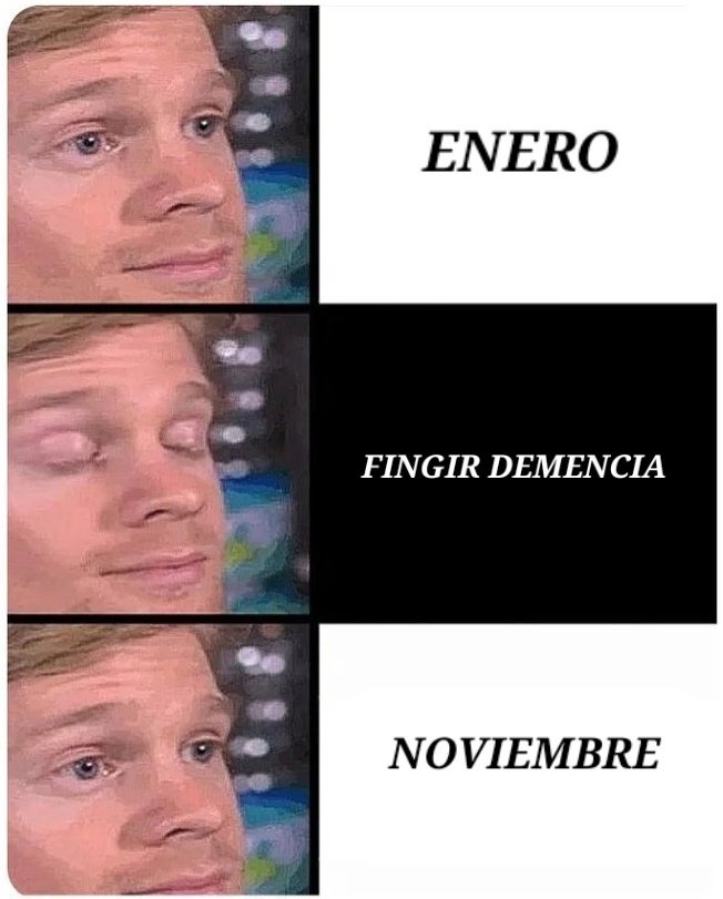 Resumen del año.