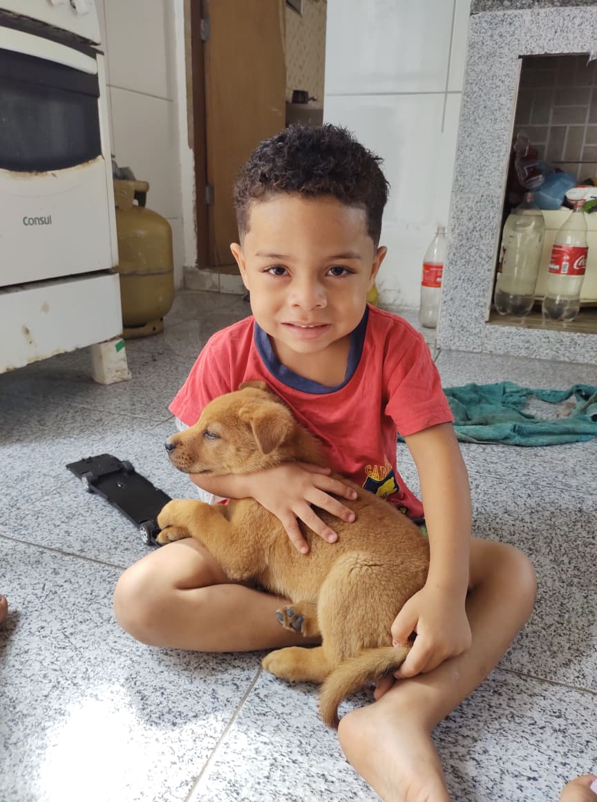 NovinhoChp57's tweet photo. Poxa filho hoje o papai acordou com uma dor insuportável com sdds de vc , msm sabendo que vc está com Deus agora , eu só queria vc aqui cmg, chamando o papai pra ir comprar sorvete com vc,sdds de você me chamando pra andar de moto, que sdds infinita de vc amr da mnh vida ��😭💔💔 https://t.co/M4ujzrSen9