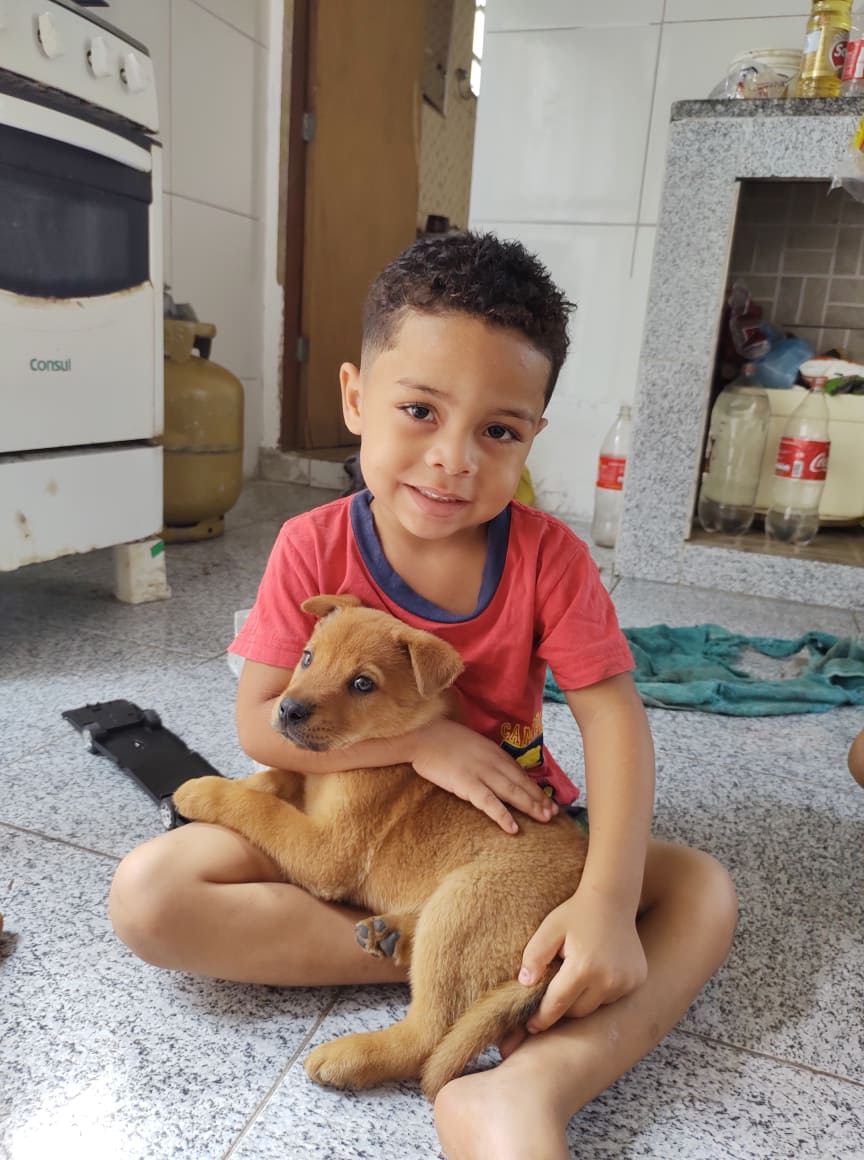 NovinhoChp57's tweet photo. Poxa filho hoje o papai acordou com uma dor insuportável com sdds de vc , msm sabendo que vc está com Deus agora , eu só queria vc aqui cmg, chamando o papai pra ir comprar sorvete com vc,sdds de você me chamando pra andar de moto, que sdds infinita de vc amr da mnh vida ��😭💔💔 https://t.co/M4ujzrSen9