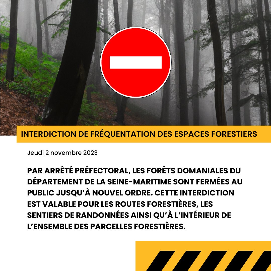 Tempête Ciaran : les forêts domaniales de la Seine-Maritime fermées au public jusqu'à nouvel ordre par arrêté préfectoral.