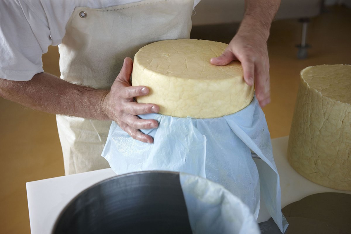 artisanFT's tweet image. Every other day, a small batch of @HafodCheese is crafted using raw milk, piped directly from the milking parlour into a purpose-built Dutch vat. Pure craftsmanship.
#CheeseCraftsmanship #SmallBatchCheese
artisanfoodtrail.co.uk/hafod-welsh-or…