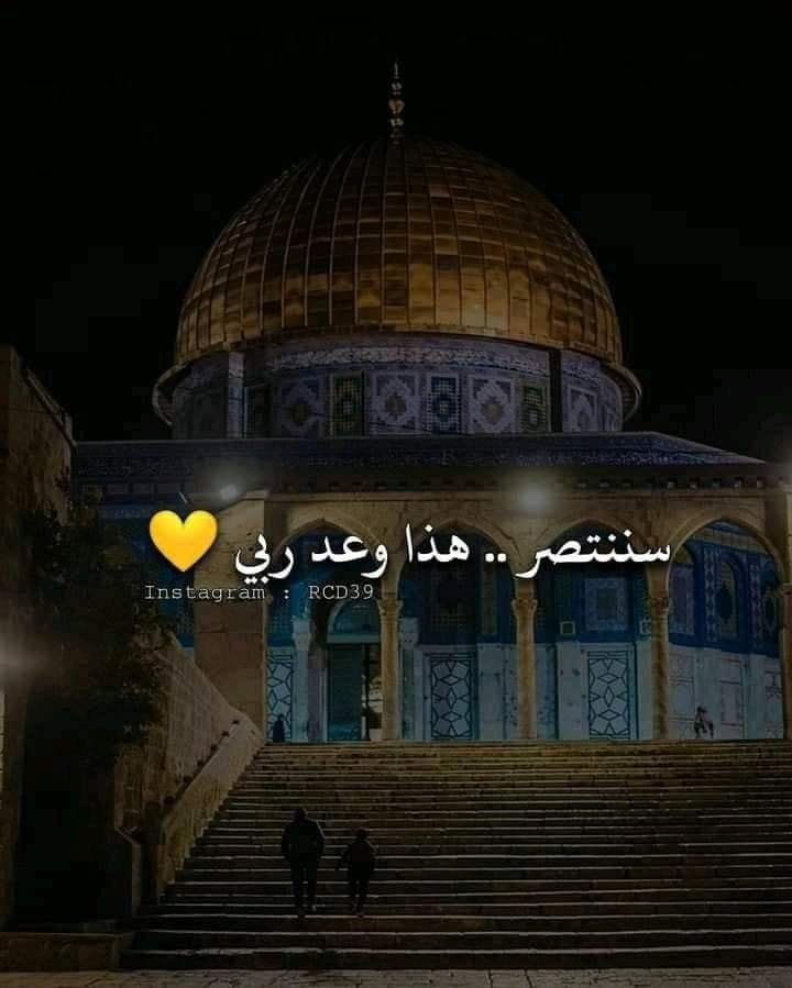 اللهم انصر اخواتنا المستضعفين في فلسطين اللهم امين