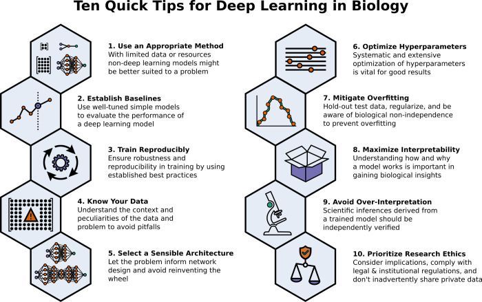 Ten quick tips for deep learning in biology buff.ly/3FDVrFY
