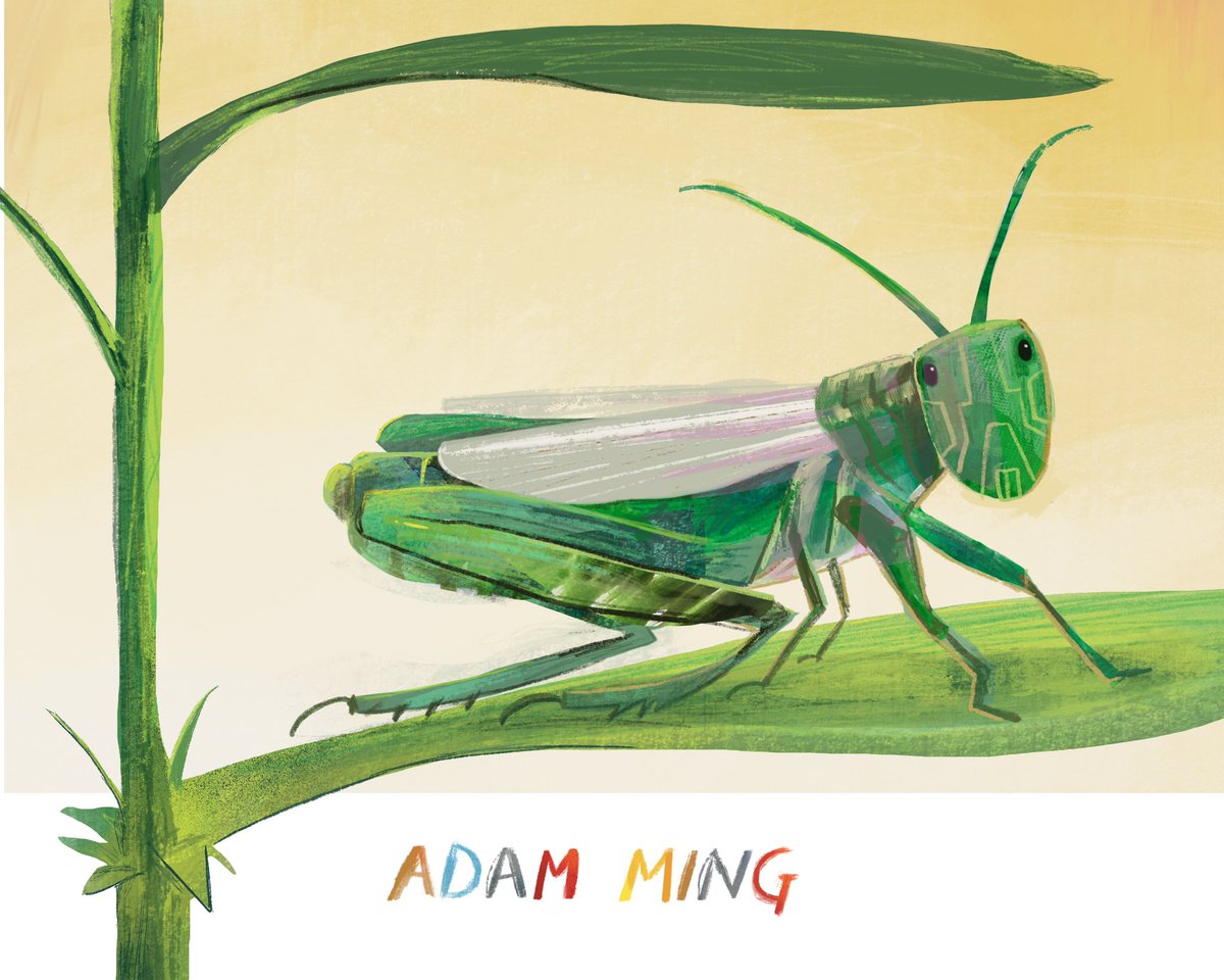 AdamMingArt's tweet image. Hi I’m Adam Ming,

On the first  #KidLitArtPostcard , @AdamRutherford reposted it, it was the same week @artthatsells featured some of my illustrations on their account and that helped me get my agent @LydiaRSilver 

It took,

• 18 Months of drawing everyday.
• Asking…