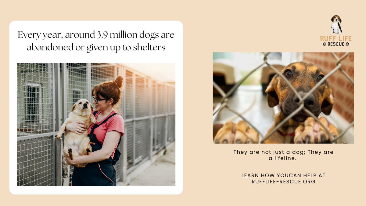 Every year, around 3.9 million dogs are abandoned or given up to shelters. 😢🐶  Help us reduce this number by supporting our cause, Learn how you can help at rufflife-rescue,org

#DogsInNeed #DonateToday #RescueDogs #GiveHope #PawsForGood #SpreadLove #ruffliferescue