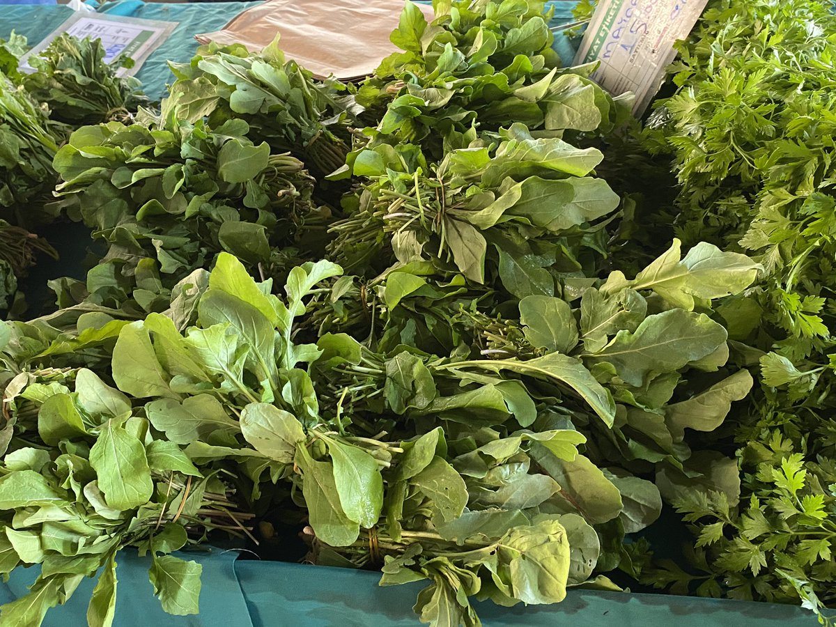 Türkiye is one of the biggest agricultural producers worldwide. The biodiversity and climate offer great conditions to grow a wide range of products. Innovation &amp; knowledge cooperation essential to deal with climate change, soil fertility and water use. <a href="/AgroBericht/">AgroberichtenBuitenland</a> <a href="/NLinTurkiye/">Netherlands in Türkiye 🇳🇱🇹🇷/ Amb Joep Wijnands</a>