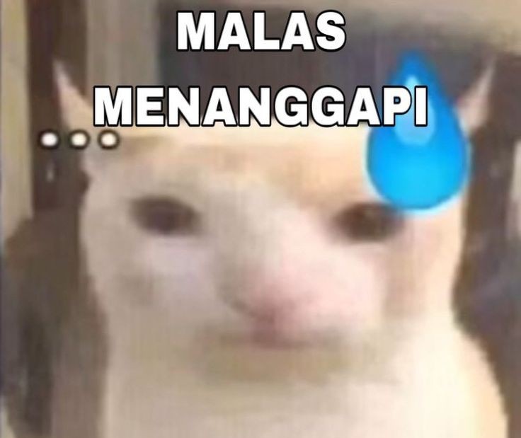 bisa banget anjing lu  act like nothing happen after you did a mistake???