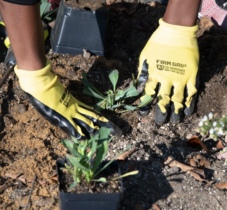 Students Spend the Day Beautifying the Community /news/mcps-news/2023/10/environment-day/