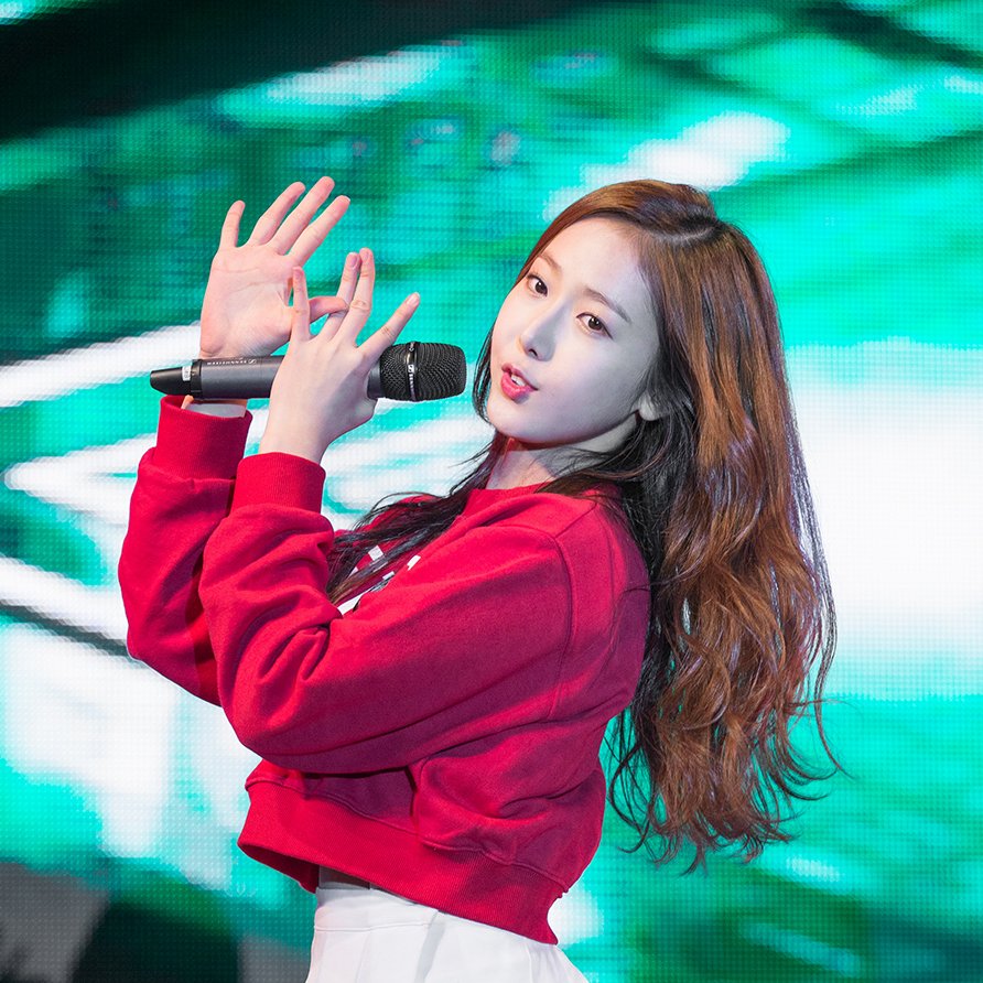 sinb old pics tweet media