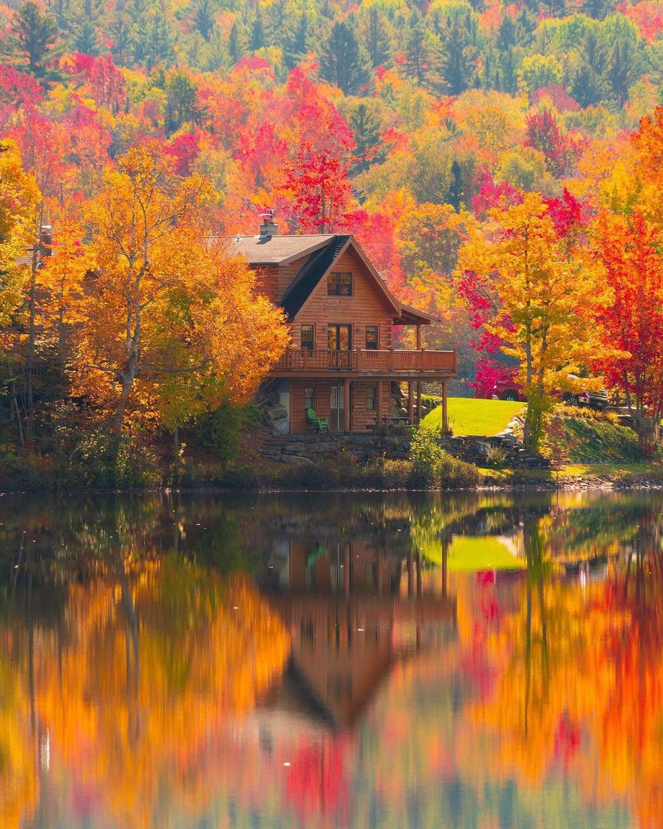 HHsn_KKC's tweet photo. 🎼iyi akşamlar 🍂🌙🍁 Good evening 🎶
#nature 🍂 yansımalar 🍁 #teflections https://t.co/erTymPTnuu