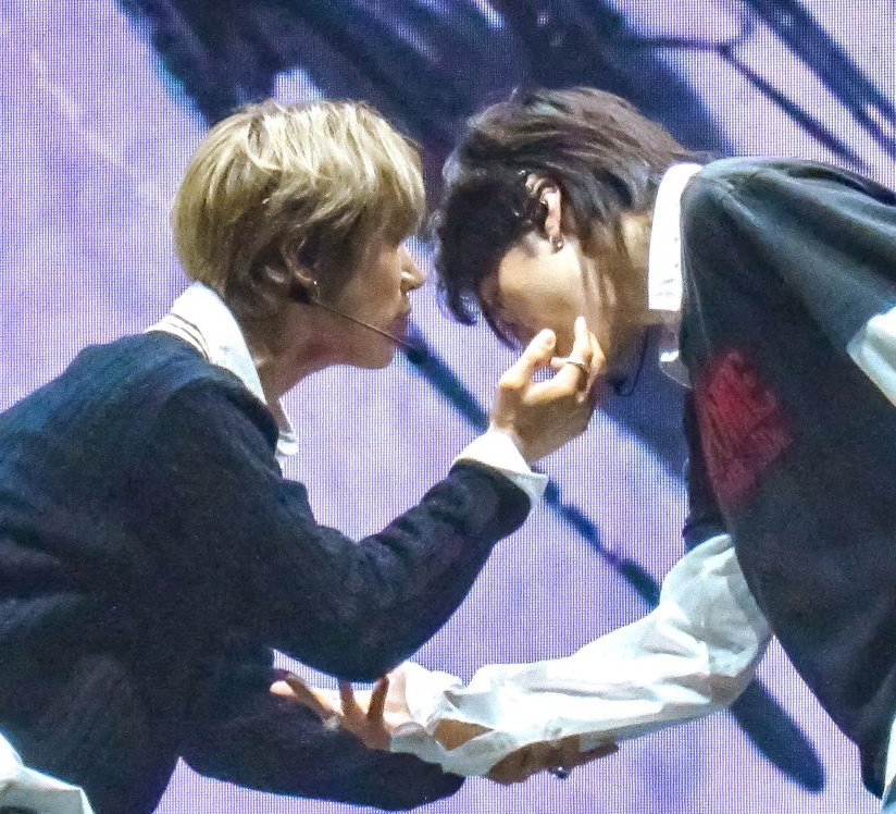 왕자님과 고양이