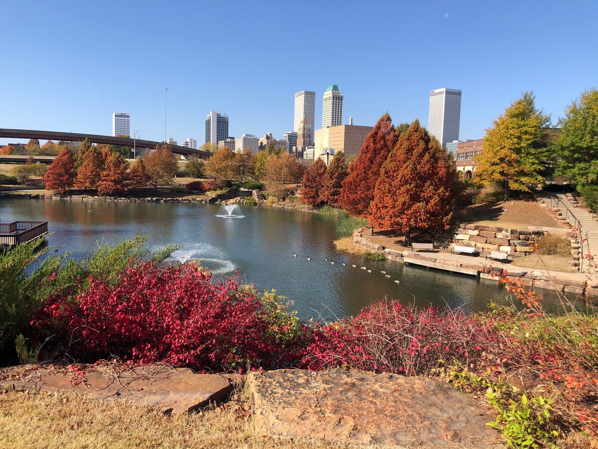 This Machine tweet media