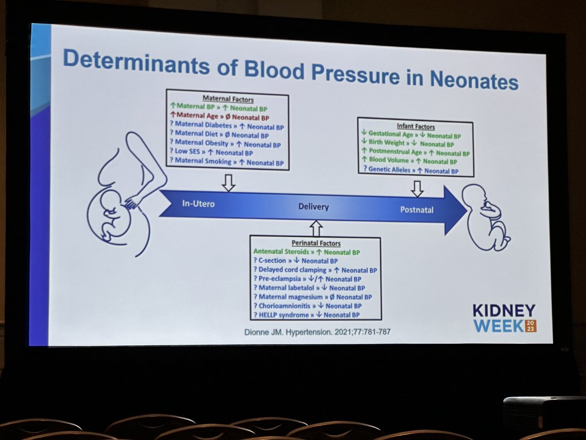 Determinants of blood pressure in neonates.#kidneywk