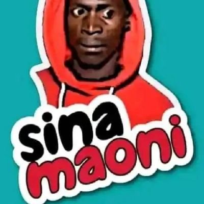 Sheila Ribeiro tweet media