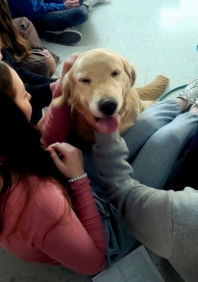 SL_Guidance's tweet photo. We had some extra support in the form of fluffy four legged friends join us for some therapy dog time at Silver Lake yesterday.  Abby, Aspen, and Fezzik spent some time putting smiles on faces as part of our Pawsitive to the Core program. https://t.co/gKkgSwpIw9