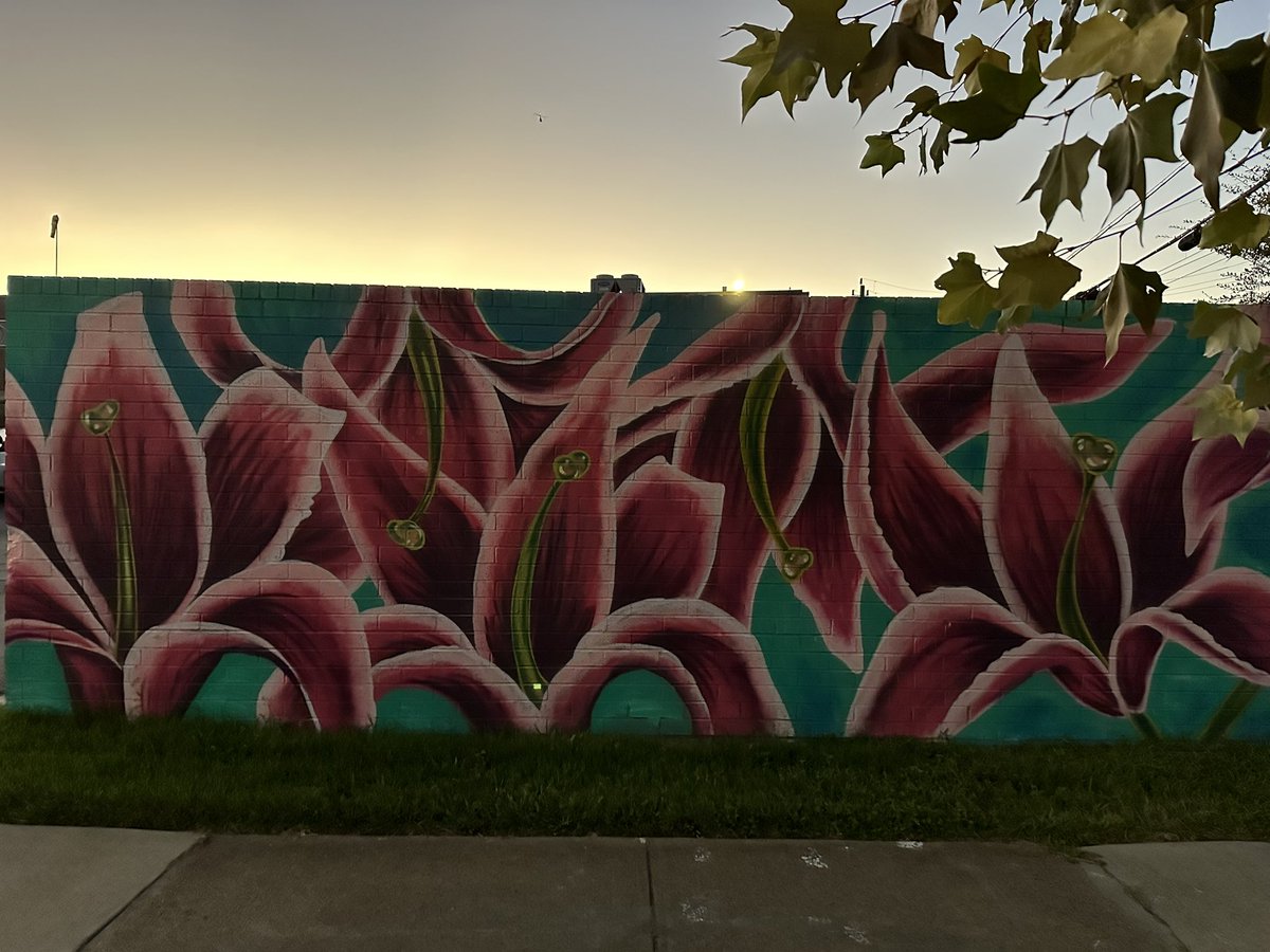 Trad Jazz Thurs w/Boomtown @ Ivy Bar &amp; Bistro tonight 8-10pm

+ Maxwell Parish golden sunlight moment fr/sunrise run &amp; murals fr/sunset walk. #60miles 4 <a href="/AmericanHeartTX/">American Heart Texas</a> <a href="/American_Heart/">American Heart Association</a>! Donate: facebook.com/donate/7211604…

#tradjazz #jazzhouston #houstonjazzscene #60milesinnovember