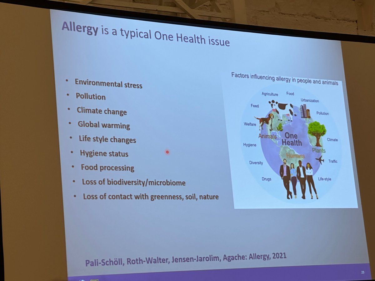 Allergy is a typical One Health Issue! Professor Ioana Agache
#PAAM2023 
This is also our moto at <a href="/TOXRUNIUCS/">TOXRUN</a>