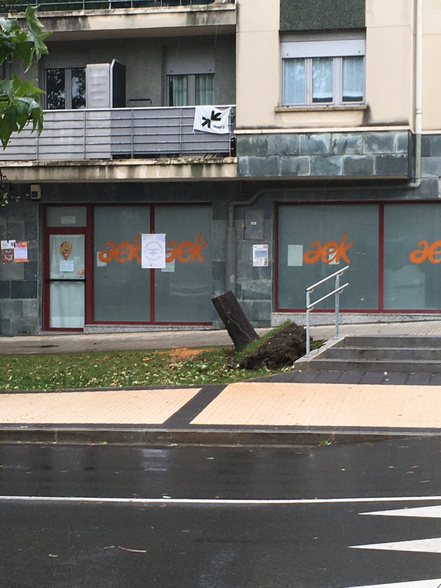 Esta noche, en la calle Donostia Ibilbidea de #Astigarraga, el viento derribó este árbol porque  TENIA LAS RAICES CORTADAS debido a las recientes obras de urbanización. @AstiarrakoUdala no controló bien las obras y la empresa SASOI ERAIKUNTZAK destrozó las raíces.Todo normal,¿no?