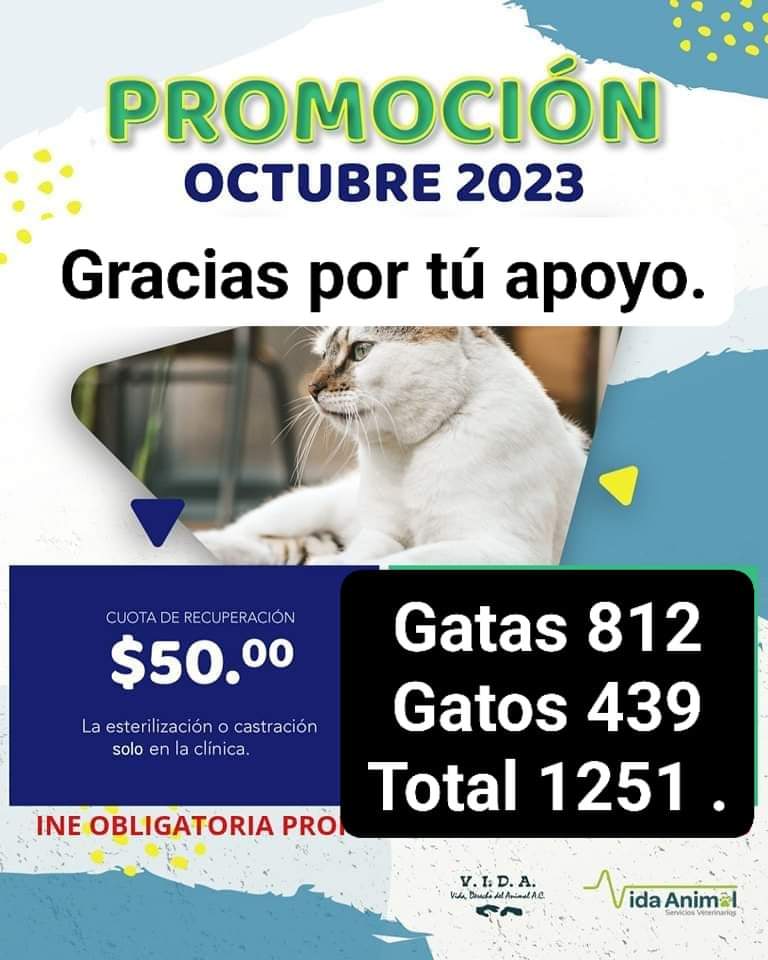 vida_ac's tweet photo. Gracias lo logramos 1251 esterilizaciones en Gatos. https://t.co/TxRYNDEaRz