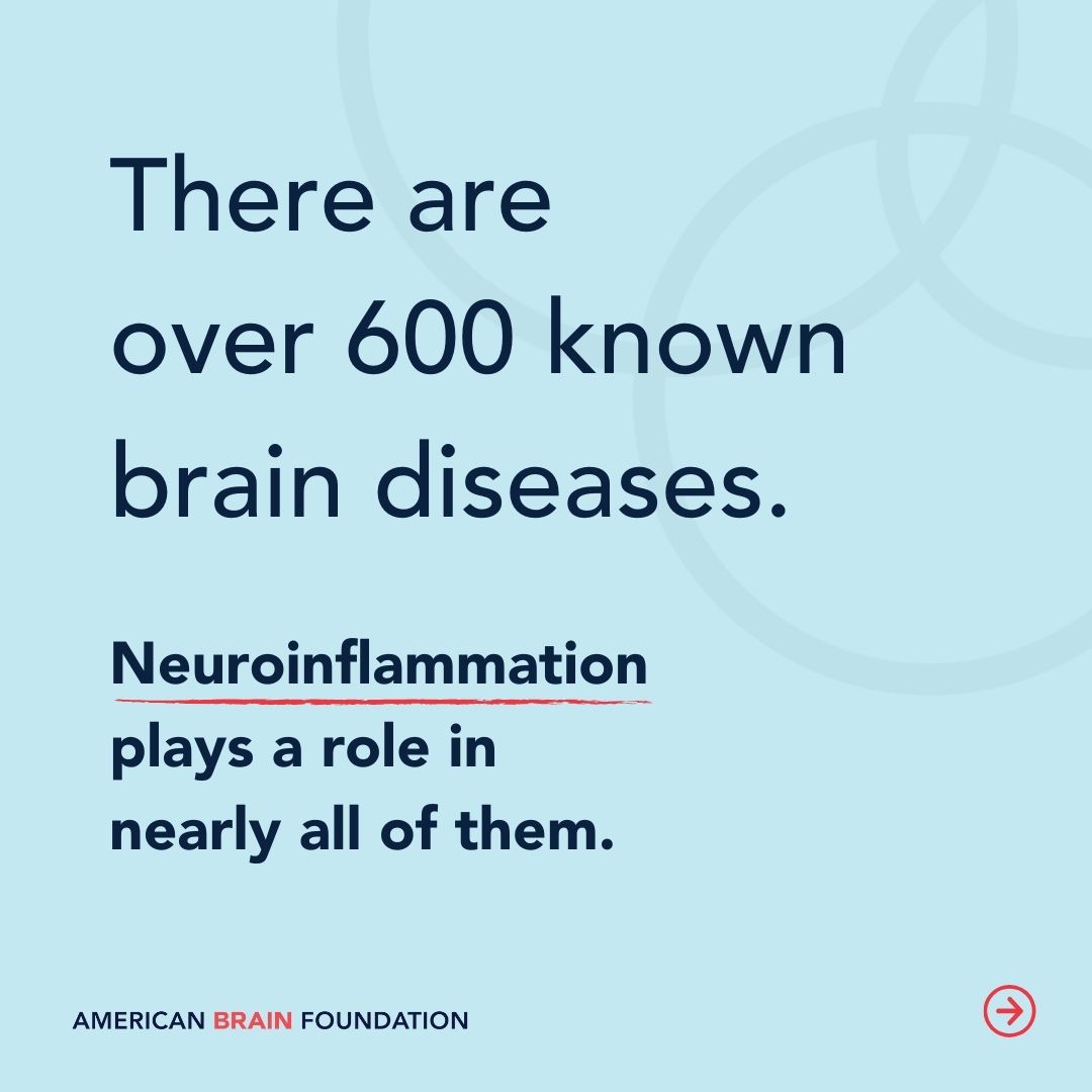 ABFbrain's tweet photo. Our new research initiative brings together cross-industry support to understand the role of neuroinflammation in brain diseases like #Alzheimers, #Parkinsons, #MS, #encephalitis, and #schizophrenia. Learn more about this unprecedented initiative here: https://t.co/2QgLNI1ZR8 https://t.co/6DV7J0jxlh