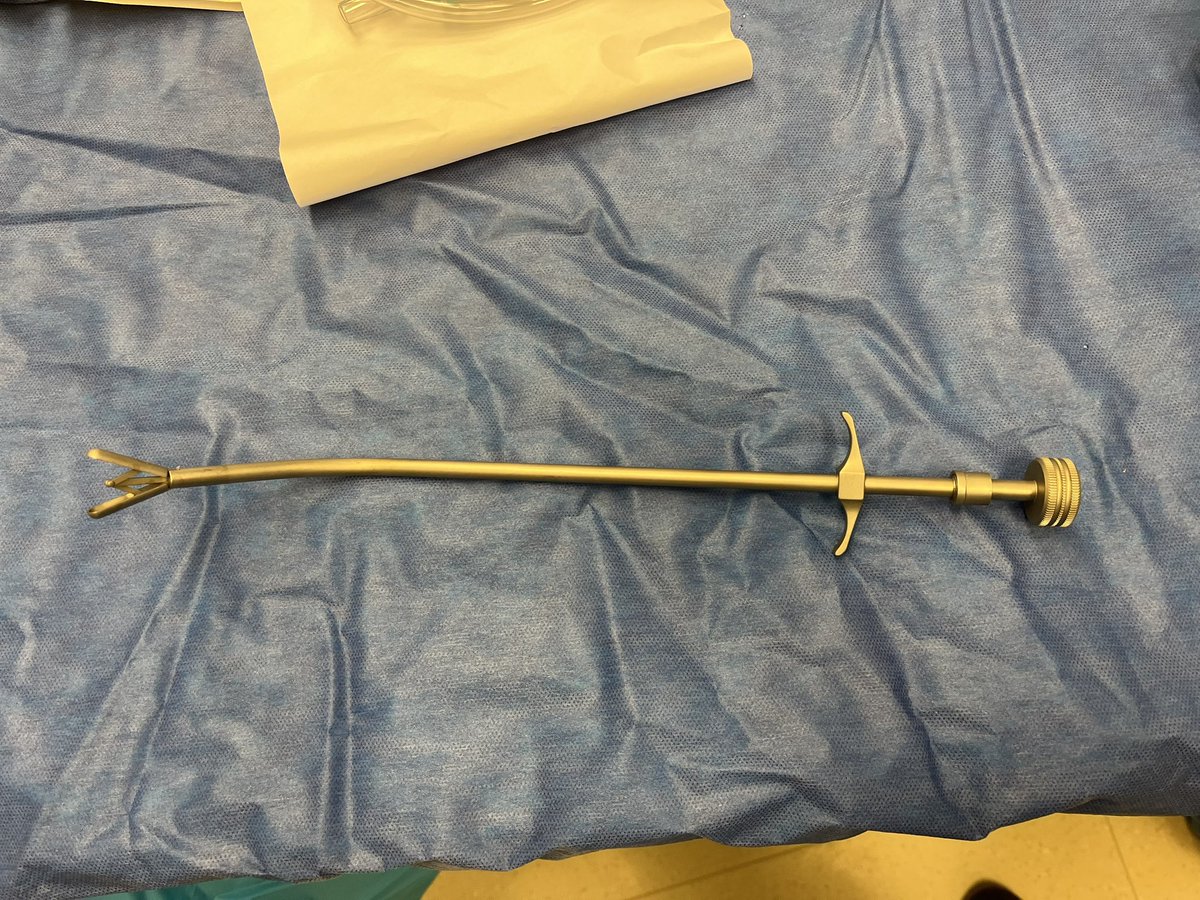 Ryan Mauck tweet media