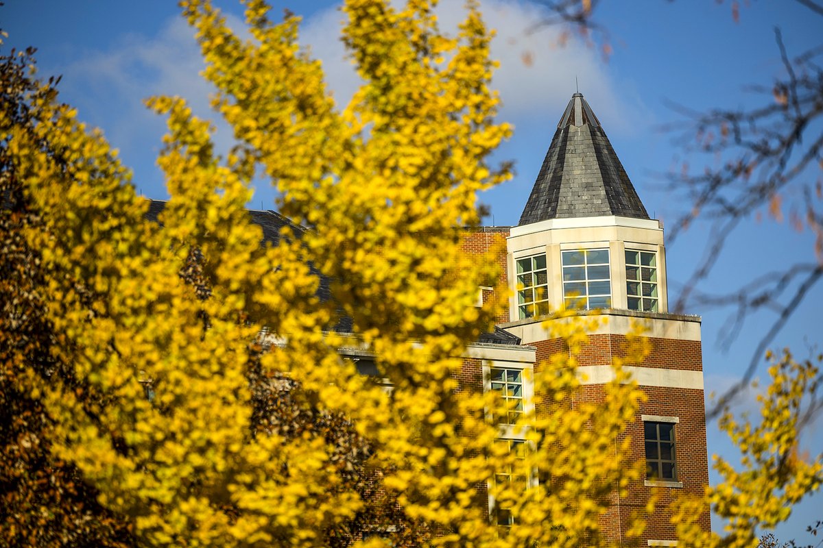 Mizzou (@mizzou) on Twitter photo Fall at #Mizzou is golden ๐๐ Fall at #Mizzou is golden ๐๐