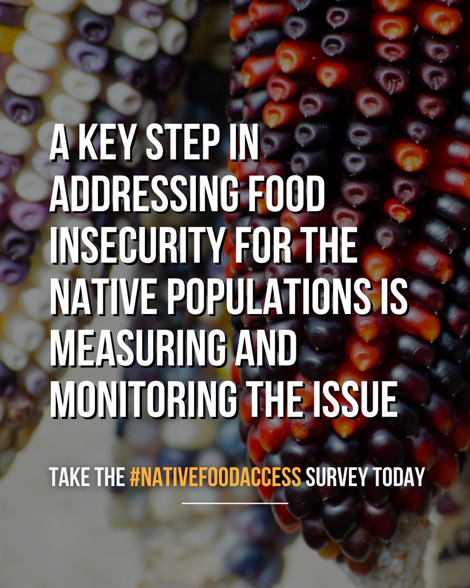fractweets's tweet photo. The @NativeAgFund and FRAC are surveying to gain a better perspective on the issues of food insecurity and hunger in Tribal areas. This #NativeAmericanHeritageMonth, make your voice heard and take the #NativeFoodAccess Survey today: https://t.co/GxOOWPz6r3 https://t.co/6MaRnKhkow