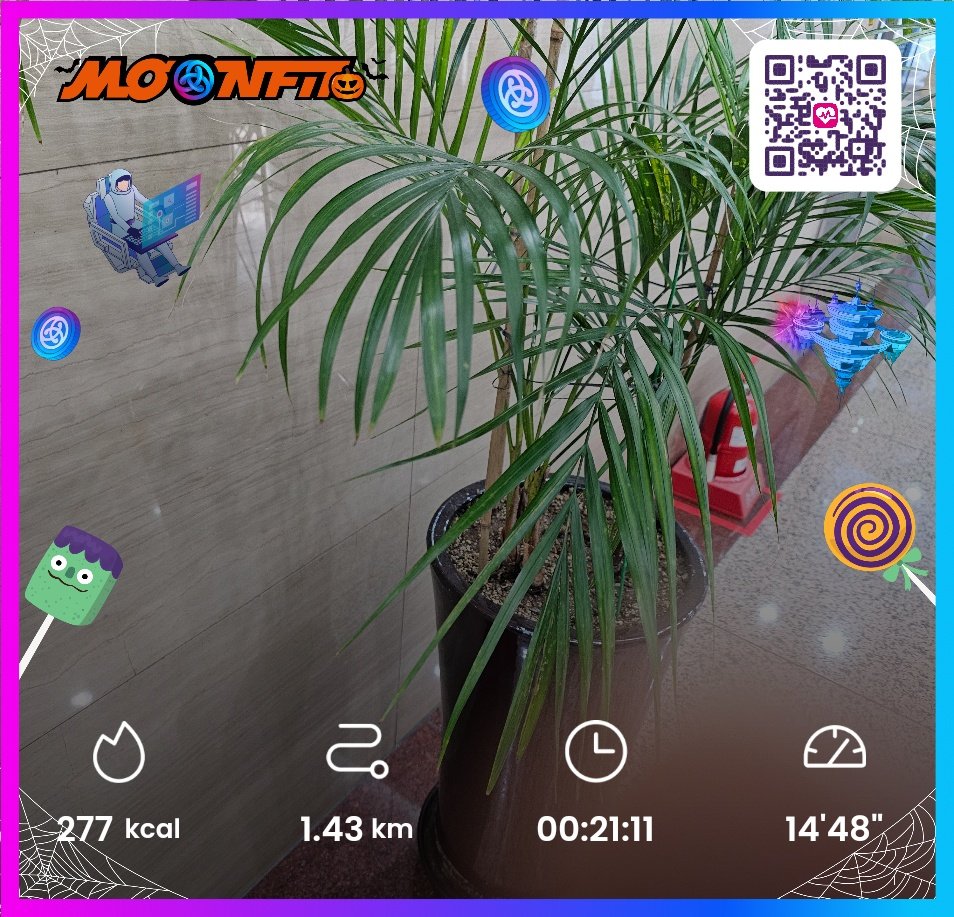 master072777's tweet photo. 잠온다
#MOONFIT #MoveToBurn #Moonbeam #Beast #Beauty #M2E #NFT #clanfeature #IncentivizedTestnet #RunToEat #Web3Fitness #Halloween
@MoonFitOfficial
@AstarNetwork https://t.co/mx2W7EJyZE