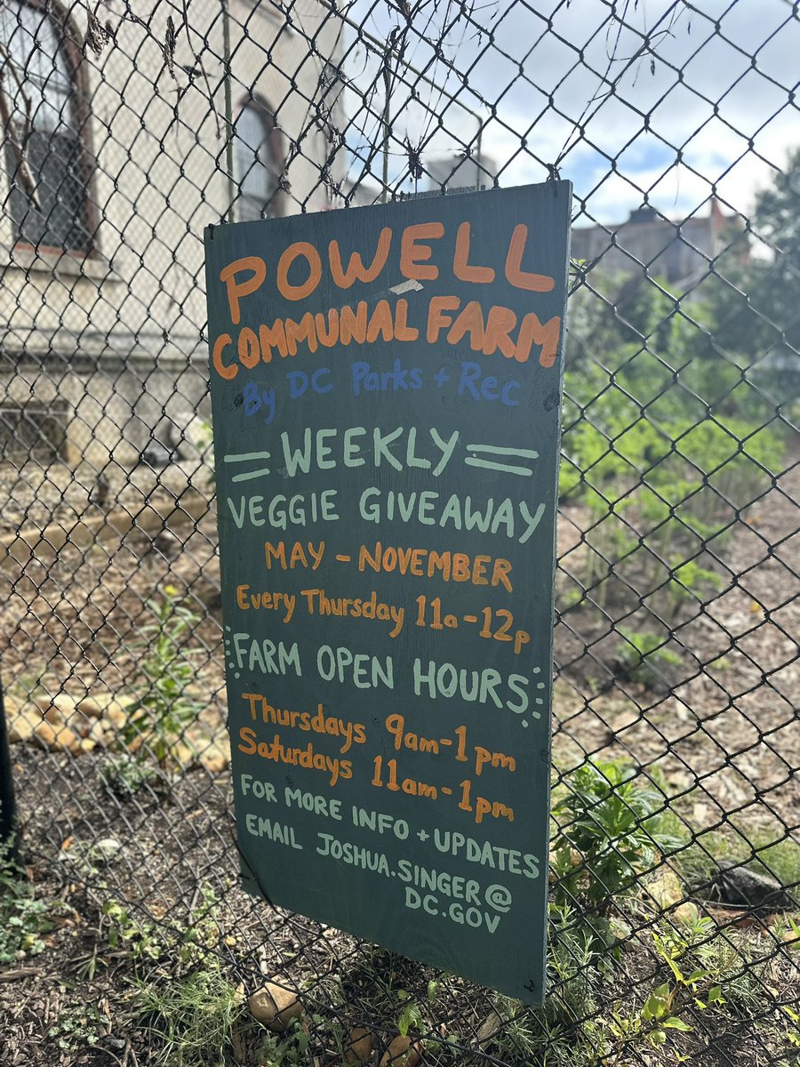 MillerANC1A05's tweet photo. It’s getting chilly, but we’re still harvesting. Fresh HONEY from our #Edgewood and #Lederer #CommunalFarms Come by TODAY (11/2) @DCDPR #PowellCommunalFarm ( 3149 16th St), 11-12PM with FREE 🥬🌶️ 🍯! #honeybears #UrbanFarming #communityfirst #MoreThanRec #wherefunhappens https://t.co/XefHvsIsoa