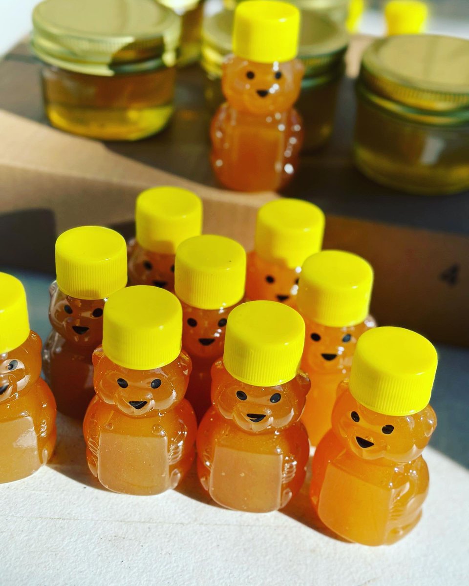 MillerANC1A05's tweet photo. It’s getting chilly, but we’re still harvesting. Fresh HONEY from our #Edgewood and #Lederer #CommunalFarms Come by TODAY (11/2) @DCDPR #PowellCommunalFarm ( 3149 16th St), 11-12PM with FREE 🥬🌶️ 🍯! #honeybears #UrbanFarming #communityfirst #MoreThanRec #wherefunhappens https://t.co/XefHvsIsoa