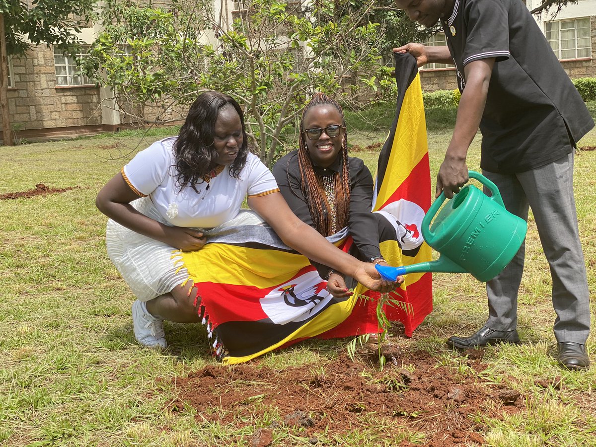 STFUganda's tweet photo. #STFupdates: Our livelihoods & Environment Department continues to engage and support @YALIRLCAlumniUg activities on climate change with trees.
This chapter is full of amazing young people that are committed to transform Africa.
Thanks to @usmissionuganda & other stake-holders. https://t.co/ZhdMzIOXcP