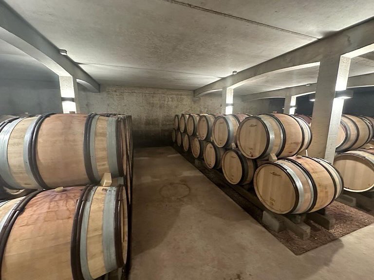 WABGavocats's tweet photo. 📸 À Chalon-sur-Saône 🏛🍷
Lors d'un déplacement professionnel, nous avons eu le privilège de visiter l'un de nos clients du domaine de Tupinier-Bautista à Chalon-sur-Saône.
—————————
#WABG #VisiteClient #ChalonSurSaône #PalaisDeJustice https://t.co/8haCHGwz42