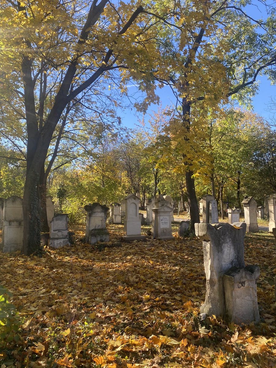 spelion's tweet image. November 1st at St. Marx Cemetary, remembering Slovenian linguist Jernej Kopitar who was burried here in 1844 and later moved to Ljubljana 🍂 🇸🇮 #smallnation with #bignames