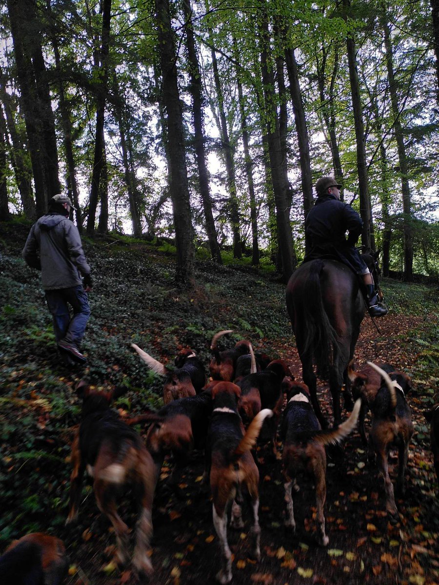 devoncountysabs's tweet photo. Eggesford Hunt | 30.10.23

No kills for smug cuntsman Jason Marles as we ruined his cubbing meet at Serstone Farm, north of Bow, on Monday. 

Eggesford killed a young vixen here last New Years. We weren't letting that happen again.

Full report here: https://t.co/uPaA1PfrG9 https://t.co/mnLm7iHtqm
