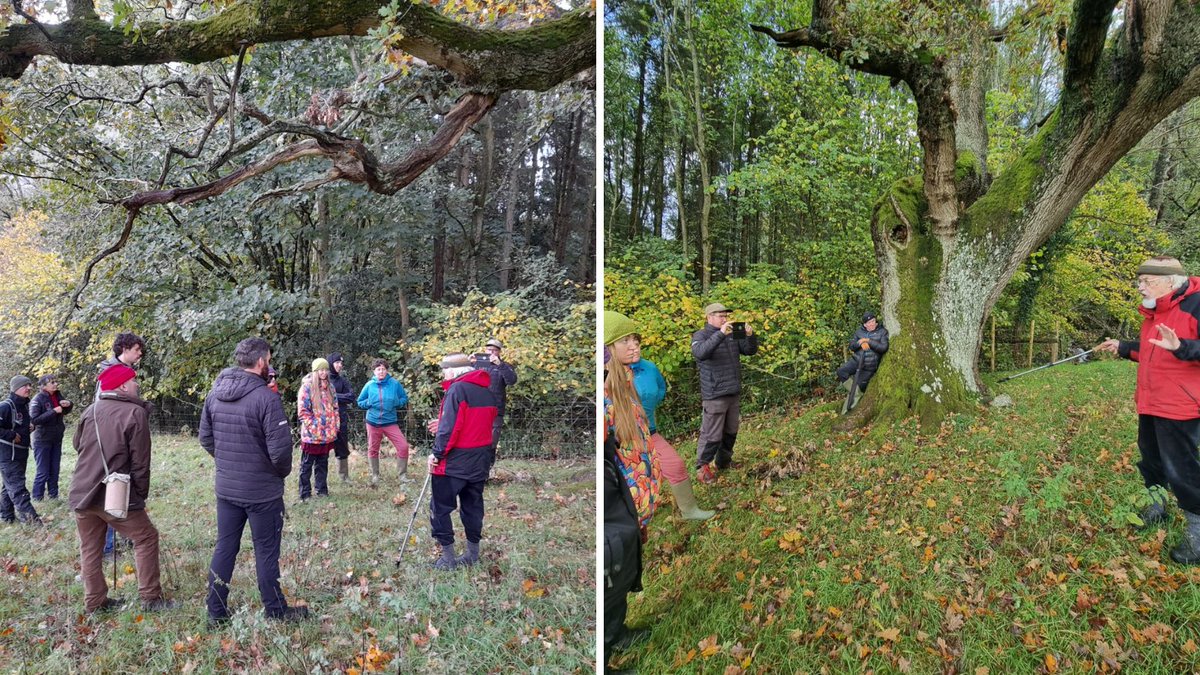 BBNatureRecover's tweet photo. Yesterday Llais-y-Goedwig hosted a session for our tree wardens who are helping establish a number of #treenurseries across the park. The session consisted of learning how to set up a tree nursery, collect tree seeds, and more. #Naturerecovery #tree #woodland #breconbeacons https://t.co/cGTbmgJ1yd