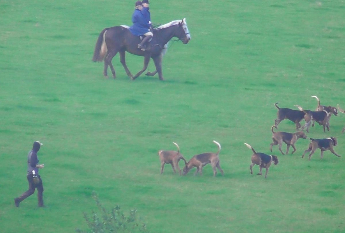 devoncountysabs's tweet photo. Eggesford Hunt | 30.10.23

No kills for smug cuntsman Jason Marles as we ruined his cubbing meet at Serstone Farm, north of Bow, on Monday. 

Eggesford killed a young vixen here last New Years. We weren't letting that happen again.

Full report here: https://t.co/uPaA1PfrG9 https://t.co/mnLm7iHtqm