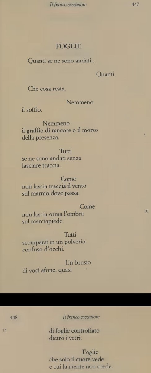 Stomp95's tweet image. Giorgio Caproni, Foglie