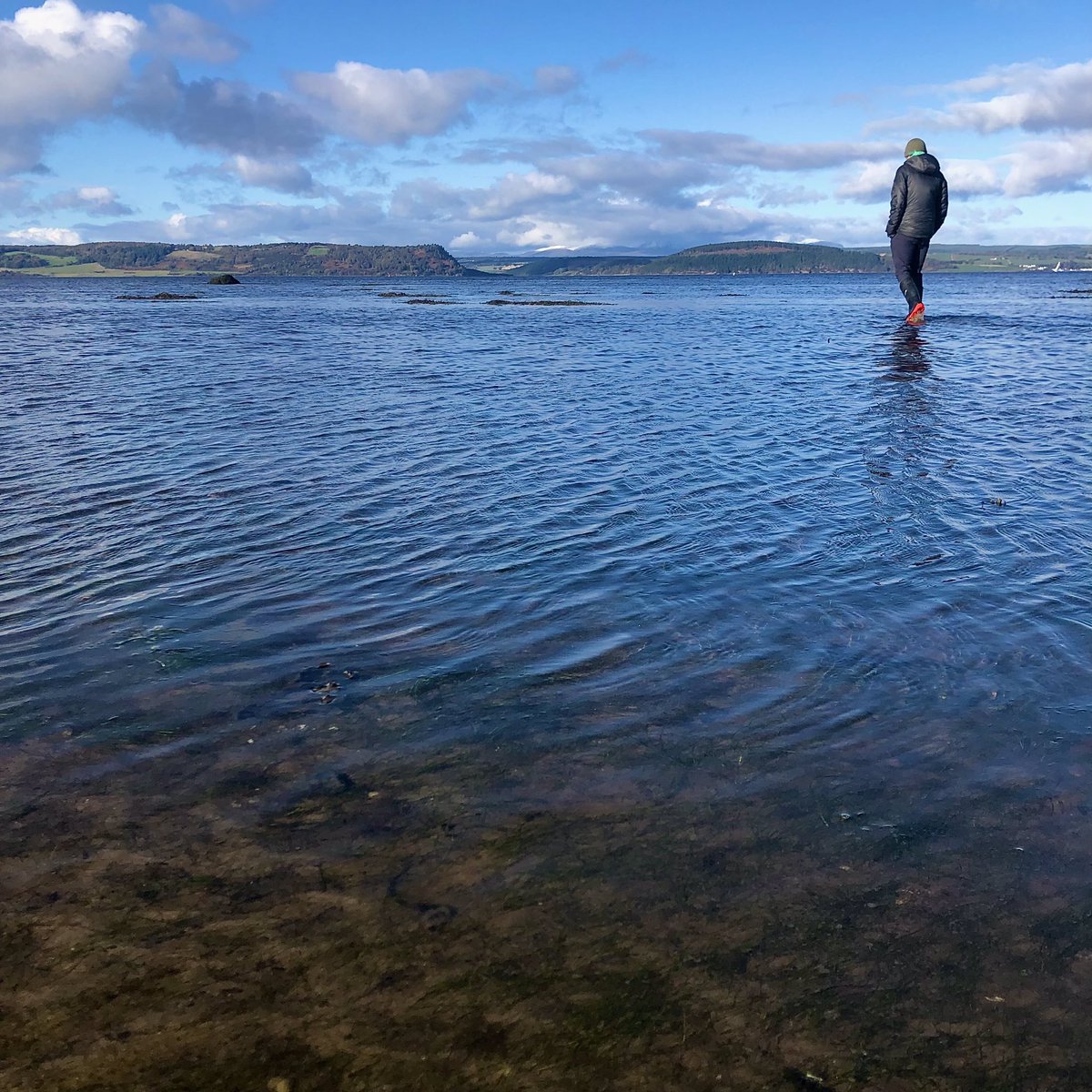 Moray Ocean Community tweet media