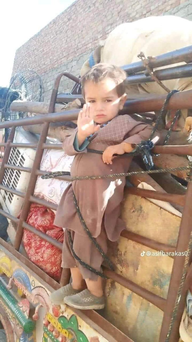 For my Pakistani friends and oomfs:
It is very important to talk about Palestine and we should do it everyday until Palestine is free BUT we should also be paying attention to what is happening in our own country.
Right now Afghani men, women and *children* many of whom-