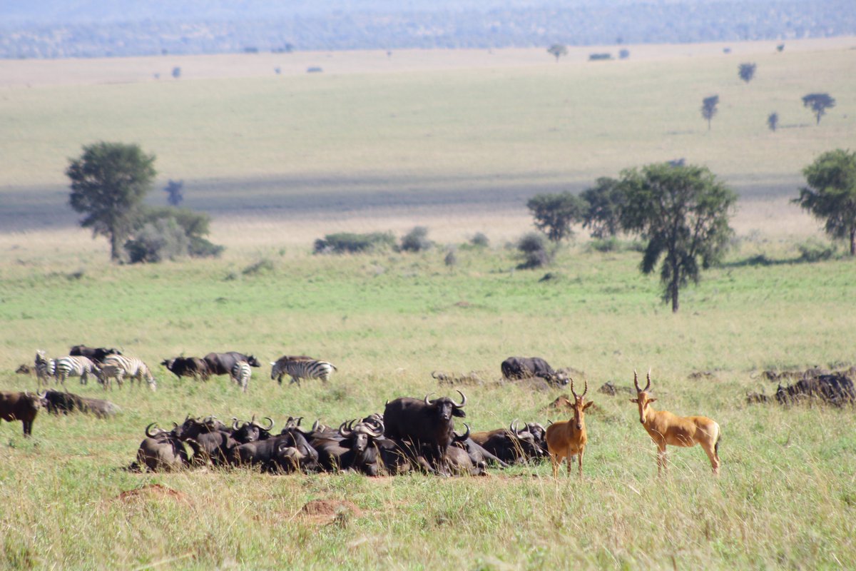 KIDEPO VALLEY NATIONAL PARK: 5 Days, 4 Nights Easter in The Wild Experience, for departure dates, costs and itinerary, kindly visit us at visituganda.tours/Special_Tour/S…