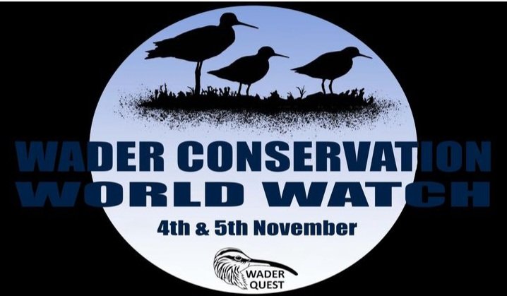 This weekend we're supporting @waderquest and the 10th Wader Conservation World Watch. Please join us - go out, watch waders and submit your species list on the Wader Quest website or share your ebird list with username WaderQuestTeam. #thinkglobal 🌍