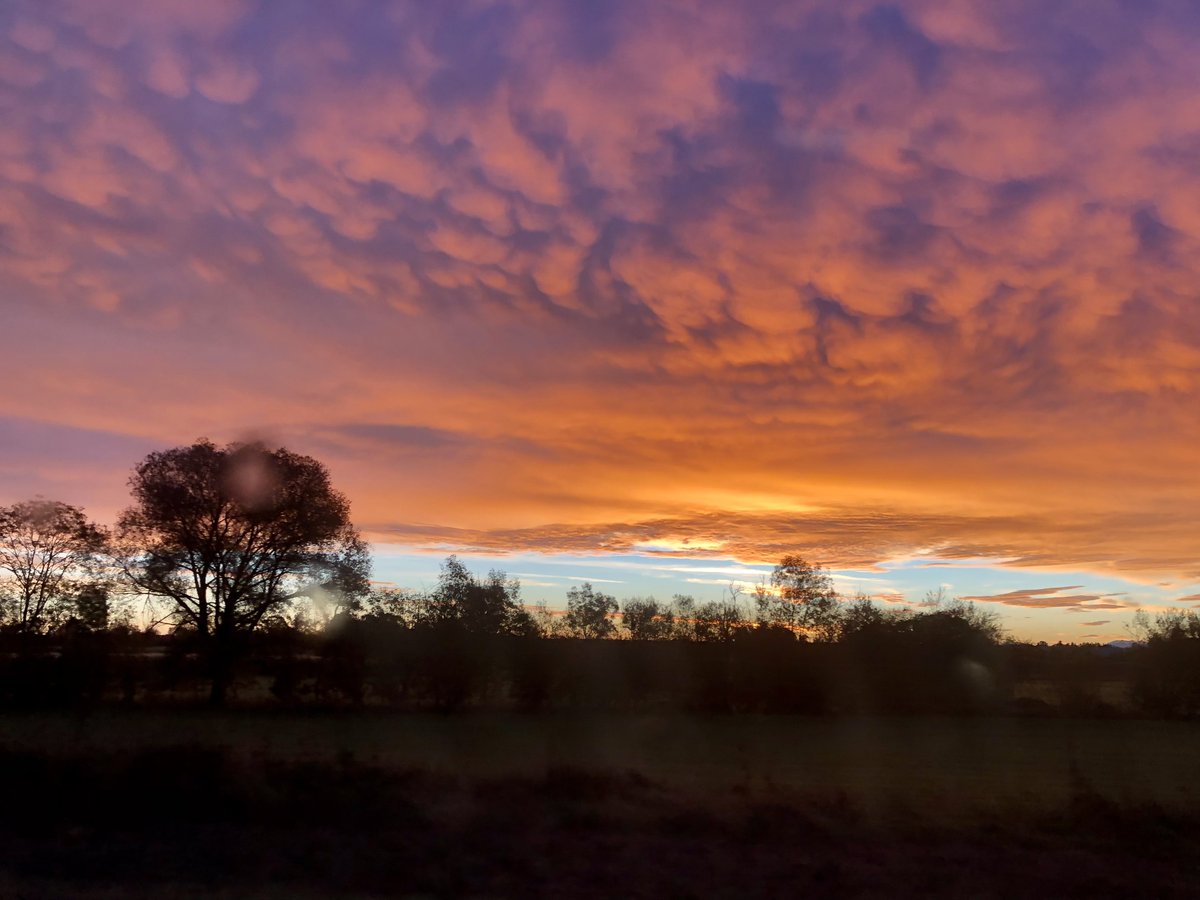 Gewitterjaeger's tweet image. Der "brennende" Himmel heute morgen über dem Alpenvorland sogar mit Mammatuswolken! 😯

Die Landschaft erstrahlte in goldenem Licht. 
#Morgenrot #sunrise #Wetter #schoenesgegendoofes