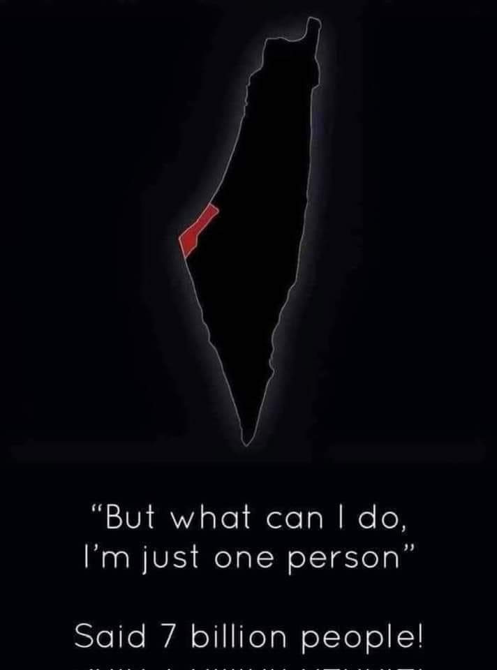 Palestine News tweet media