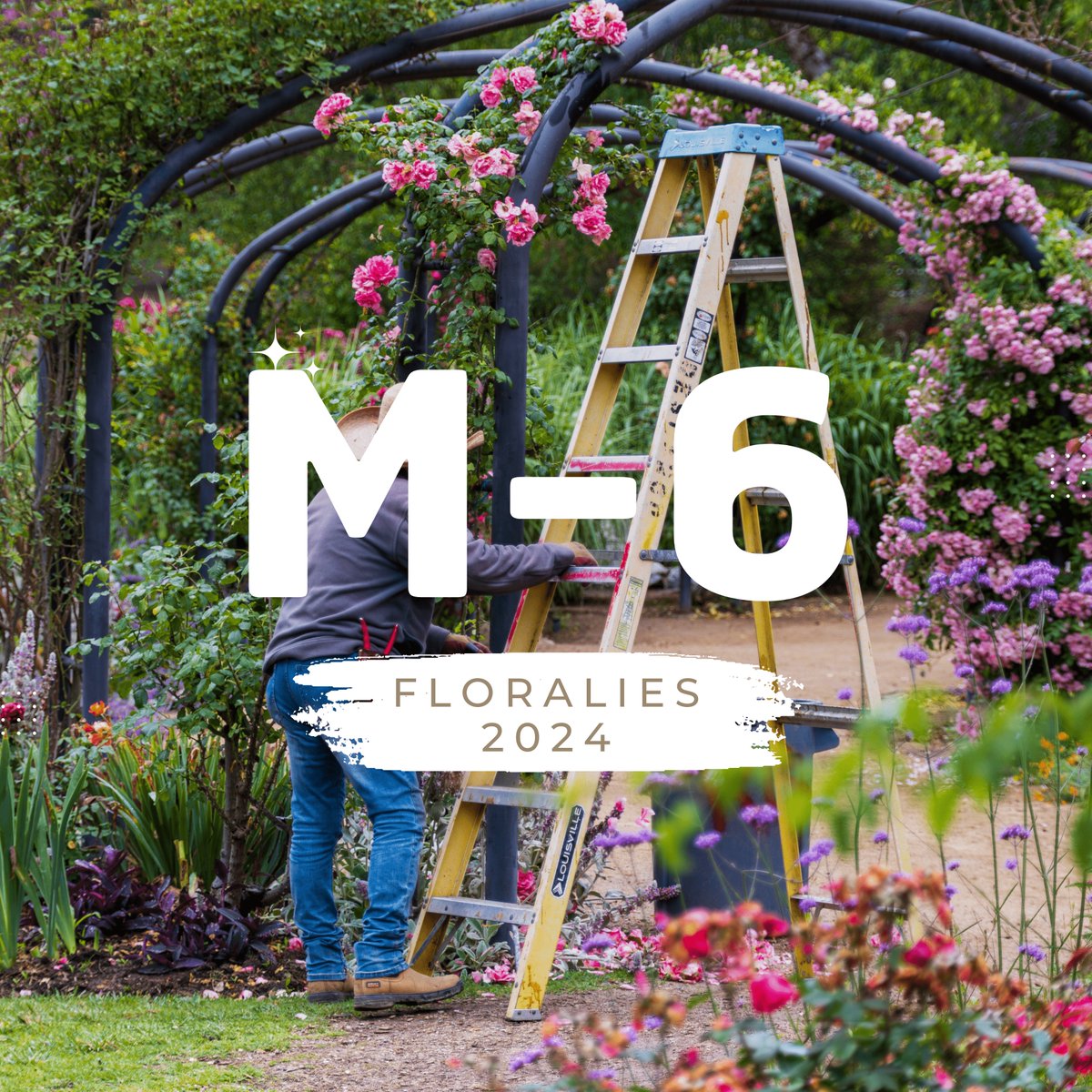 Les dés sont lancés ! Dans 6 mois, nous nous retrouverons pour célébrer la splendeur florale aux Floralies Internationales. 🌼
Du 17 au 26 mai 2024, nous vous inviterons à un voyage sensoriel au cœur de la beauté florale mondiale.
La billetterie 👉 urlz.fr/nof5