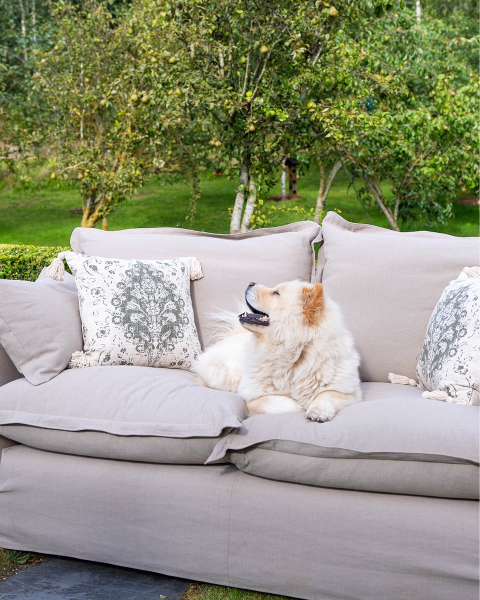 Finestockhome's tweet image. Our handmade furniture collection is pet approved thanks to our removeable &amp;amp; washable Loose Covers. Enjoy quality time with your furry friends, knowing that your sofa is protected.

#loosecoversofas #sofacovers #linensofas #petfriendly #chows #sustainbledesign #soofainspo