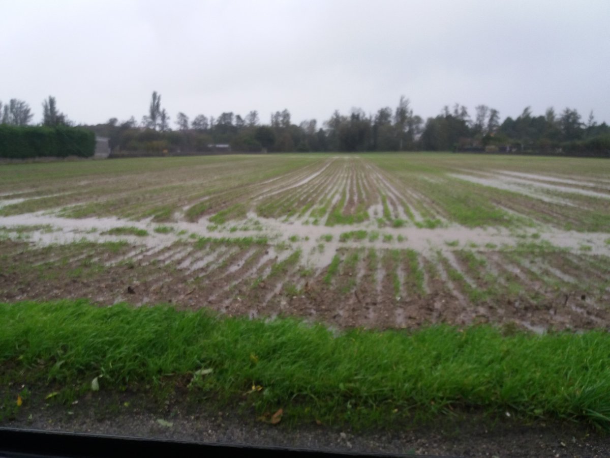 21NoticiasCom's tweet photo. La lluvia arruina parte de la cosecha de cereal de invierno y soja en A Limia, con pérdidas millonarias https://t.co/sLZIpemHaA
@xinzoconcello https://t.co/bMEA13JtcJ