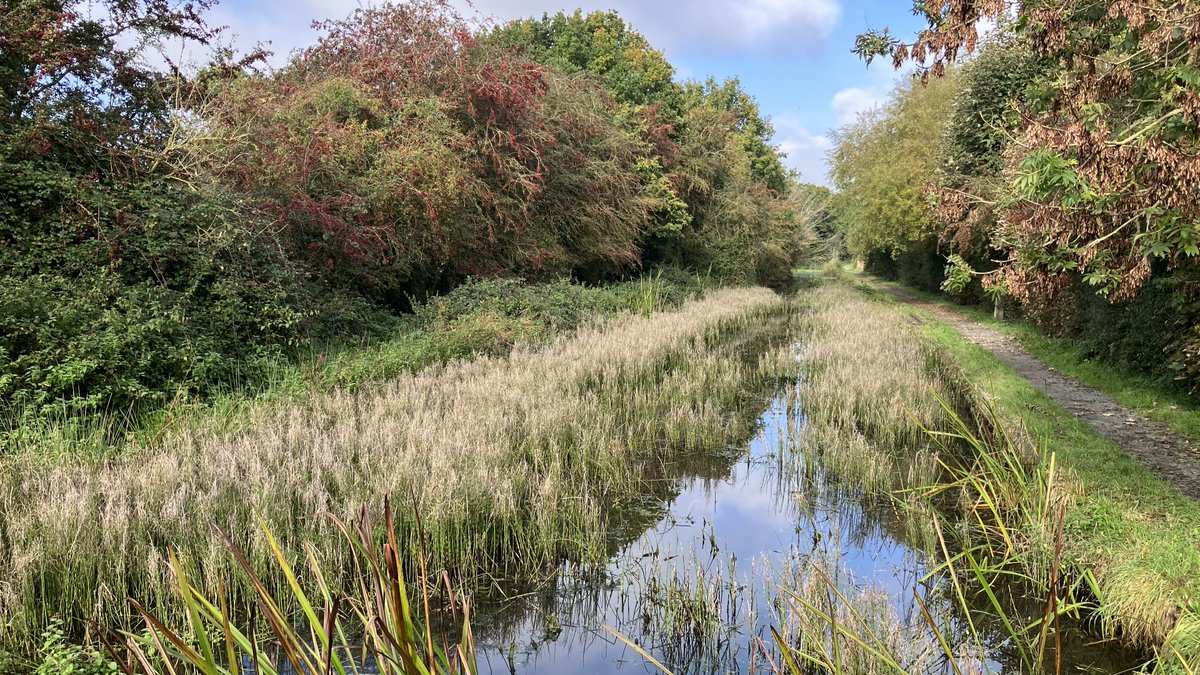 Phase 2 of the dredging to bring back that vital open water space has begun!  #canalrestoration #levellingupfund #Wales 👉canalrivertrust.org.uk/news-and-views…