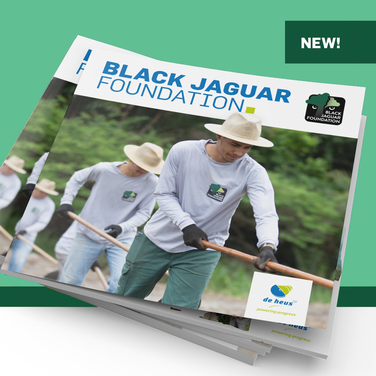 Black Jaguar Foundation &amp; De Heusbuilding a sustainable planet for future generations together 🌍 Read the magazine that dives deep into the partnership between De Heusand The Black Jaguar Foundation: issuu.com/blackjaguarfou…